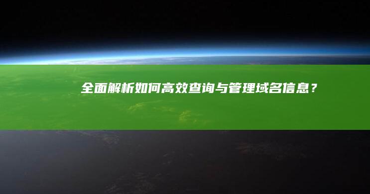 全面解析：如何高效查询与管理域名信息？